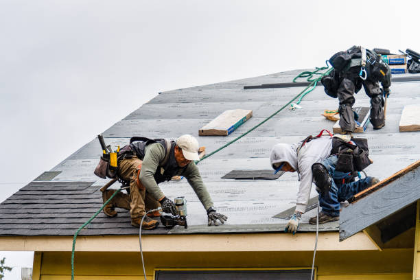 Professional Gutter Installation technician working in Stony Point, MI